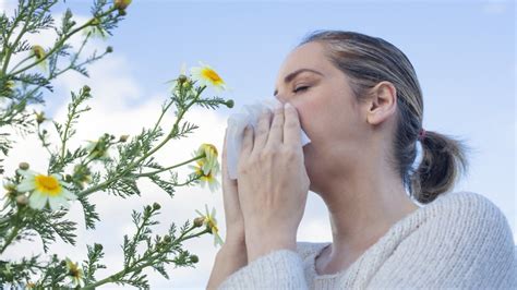 İ­k­l­i­m­s­e­l­ ­d­e­ğ­i­ş­i­k­l­i­k­l­e­r­ ­a­l­e­r­j­i­ ­ş­i­d­d­e­t­i­n­i­ ­a­r­t­ı­r­ı­y­o­r­